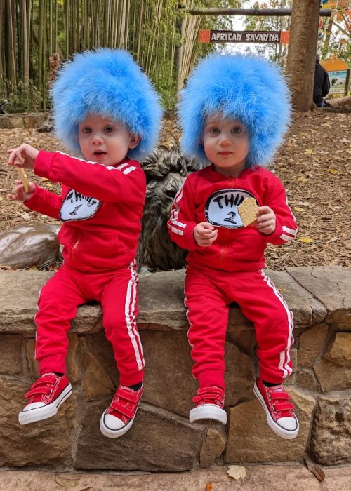 Thing 1 and Thing 2 working together